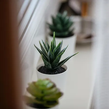 아파트 Sweethome Free Parking Mountain View *